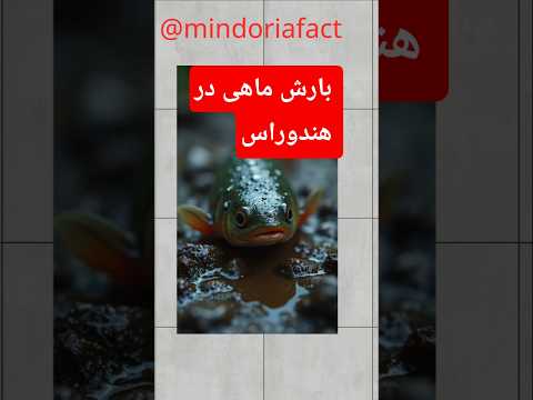 بارش ماهی در هندوراس واقعی