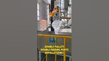 Double Pallets!Double Feeding Ports! DePalletizing!😎 #depalletizing #depalletizer #palletizer #robot