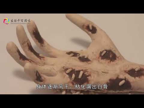 人死后，变成一堆白骨的时间需要多久？今天可算知道了