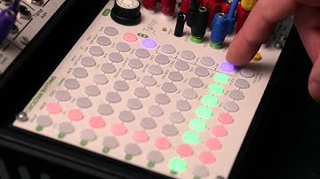 Circadian Rhythms Tutorial: Tips and Tricks