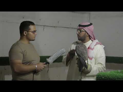 مواصفات الصقر الوكرى لقاء البطل عبد الله زيد العقيلى عن تربية الصقور 3