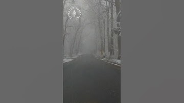 Mysterious Unsolved Cases With Anonymous Letters, Part 3 | Episode 193