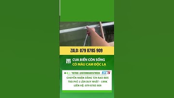 Cua biển còn sống có màu cam độc lạ| tin tức #shorts #batdongsan #tintuc #muabannhadat