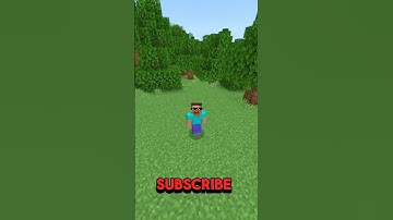 Minecraft and if you subscribe my language changes 🫥 | #minecraft #shortvideo #funny #viralvideo