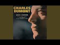 Miniature de la vidéo de la chanson Tu N'as Jamais Le Temps
