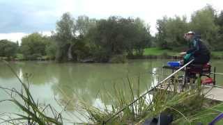 Daiwa 11ft Yank and Bank feeder - Rod action quick clip
