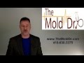 Remodel your basement and make it mold proof Remodel your basement and make it mold proof