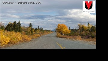 Scene Recognition Software for Automotive