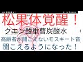 松果体を覚醒させる食べ物！クエン酸＋重曹の炭酸水。ムクナ豆、玄米、スギナ。生き生き元氣