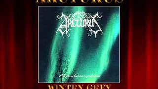 Arcturus - Wintry Grey