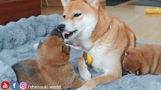 Very emotional video ♥️♥️