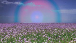 Famous Candy Claws - Transitional Bird (Clever Girl) ♱ [slowed & reverb] Profile