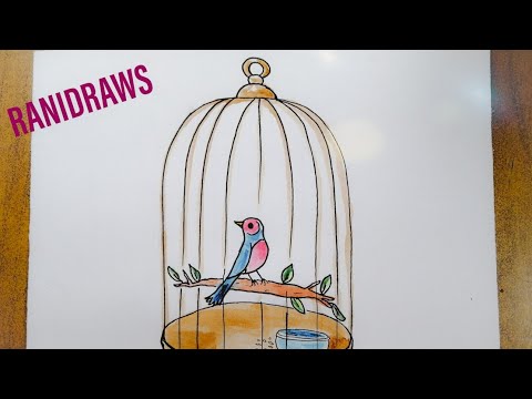 Video: Cómo Dibujar Una Pajarera