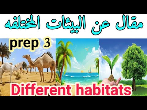 كيف تكتب براجراف عن A Review About Different Habitats In Egypt Paragraph Grammar حل