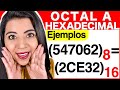 CONVERTIR de OCTAL a HEXADECIMAL - Ejercicio #5