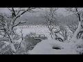 DECORAH EAGLES 🐤🐤 SNOW COVERED BALD EAGLE ◕ AMAZING WINTER SCENE AT NORTH NEST