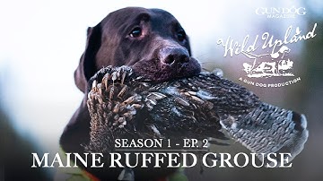 Maine Grouse-Wild Upland Season 1, Ep.  2