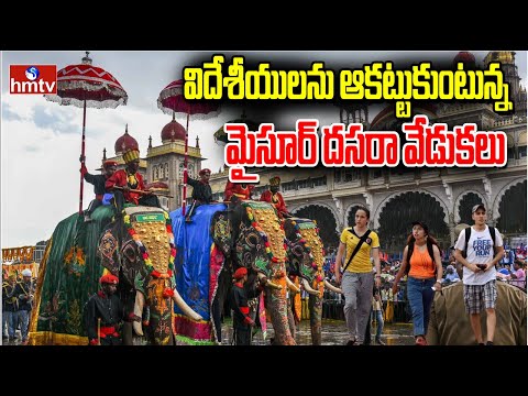 విదేశీయులను ఆకట్టుకుంటున్న మైసూర్ దసరా వేడుకలు | Mysore Dasara Celebrations | hmtv - HMTVNEWS