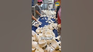 How do Chinese people produce coconut oil? #coconutoil #shorts