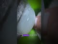 Накорась до локтя и не отрастет ноготь #ногти#ногтиманикюр#nailart