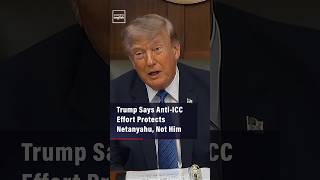 Details Trump Says Anti-ICC Effort Protects Netanyahu, Not Him Guide