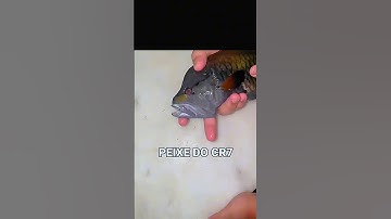 CONFIGURACIÓN PERFECTA paraSAMSUNG,A3, A5,A6,A7,J2,J5,J7,S5,S6,S7,S9,A10,A20, A30, A50,A70 FREE FIRE