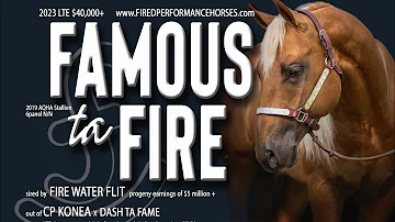FAMOUS TA FIRE - 2019 Palomino Stallion