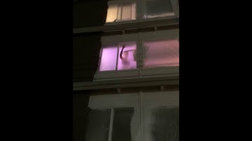 Dot DuPont - The Cage of Consumptive Compulsion