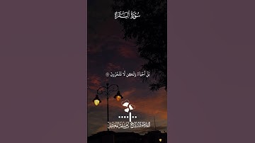 يَا أَيُّهَا الَّذِينَ آمَنُوا اسْتَعِينُوا بِالصَّبْرِ وَالصَّلَاةِ ۚ🤍#سورة_البقرة البقرة