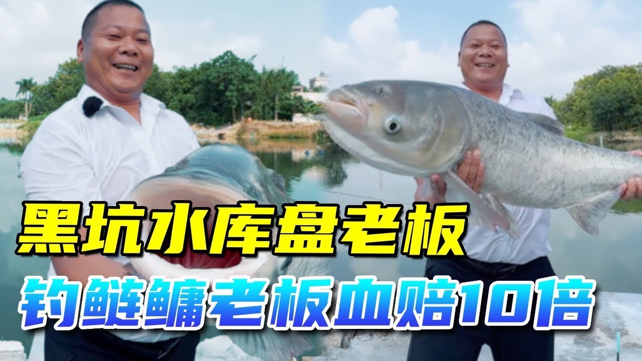 老闆血賠10倍釣費， 大叔花100元挑戰釣大鰱鳙，桿桿都中魚！ 【鯽魚大叔】#fishing #釣魚 ##funny #drama