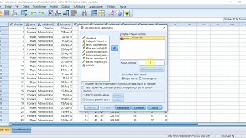 3. Recodificar variables en SPSS ✅