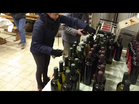 วีดีโอ: ไวน์ลูกเกดดำโฮมเมด