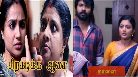 Siragadikka Aasai | 20th to 23rd November 2024 - Promo 2   | Vijay TV | சிறகடிக்க ஆசை Tamil....