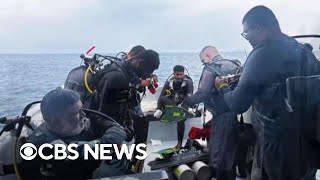 Celebrity Bodies of four missing divers located in Maldives underwater cave Profile