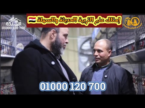 إمتلك أحدث نظم التربية الحديثة فى منزلك وعنبرك الصغير بطاريات سير سبلة أوتوماتيك من الملكة جروب