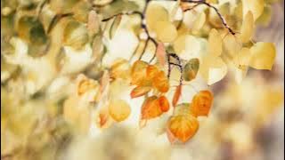 Download lagu HAL HEBAT - Govinda COVER by Indah Aqila lirik