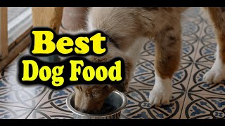 Best Dog Food Consumer Reports