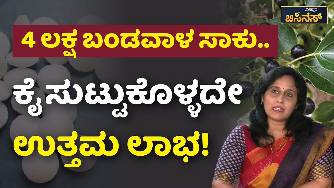 ಬದುಕಿಗೊಂದು ಬಿಸಿನೆಸ್‌ | Vistara Business | Camphor Business | ಕರ್ಪೂರ ಬಿಸಿನೆಸ್‌