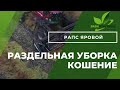 РАПС Яровой . раздельная уборка часть 1 .Кошение