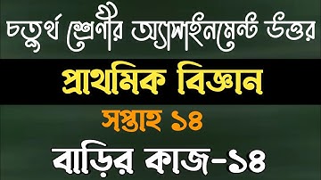 Class four science homework 14 answer