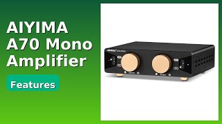 REVIEW (2025): AIYIMA A70 Mono Amplifier. ESSENTIAL details.