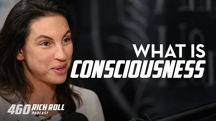 Annaka Harris On Consciousness | Rich Roll Podcast