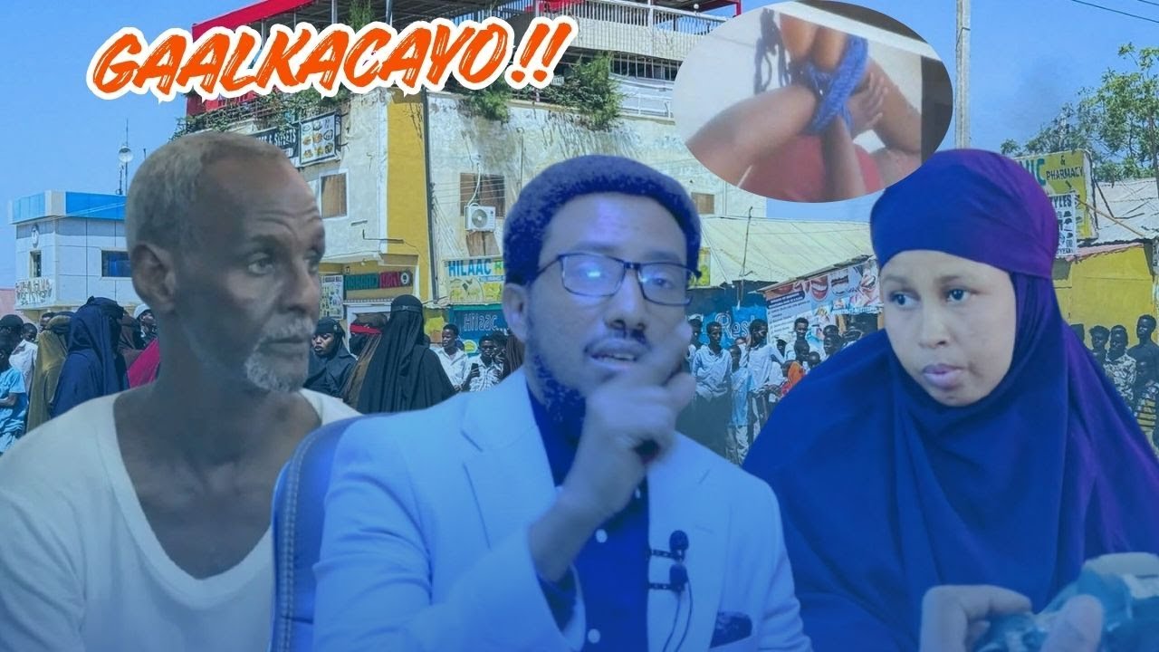 Дело Галкайо и связанные с ним события