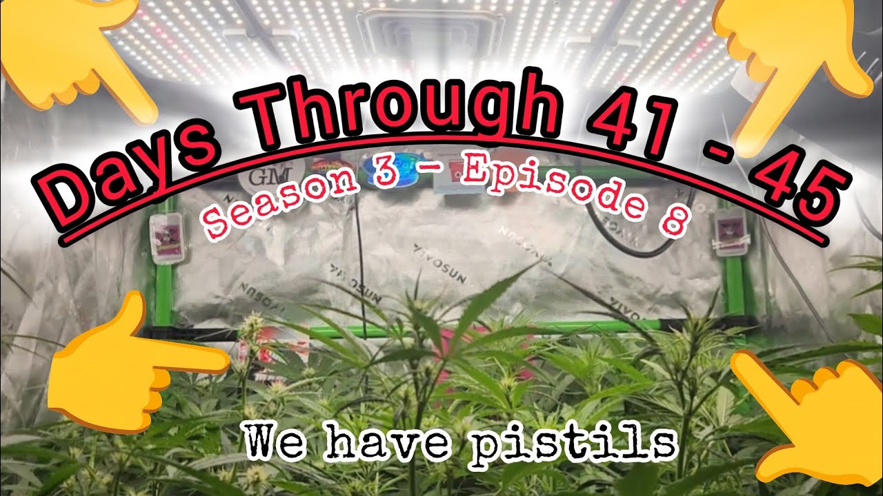 We Have Pistils!! {Season 3 - Episode 8}
