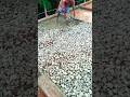 🏠Basement PCC work💯 House Construction Series💒Stage by Stage #shorts#shortvideo#construction#civil