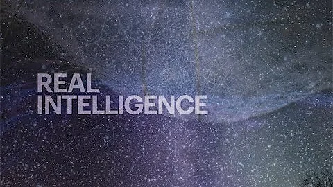 Real Intelligence  Barry Long
