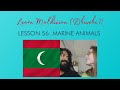 Learn Maldivian (Dhivehi) - Lesson 56: Marine Animals