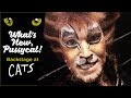 Episode 12 - What's New, Pussycat? Backstage at CATS with Tyler Hanes