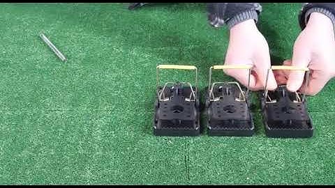 Easy Set Rat by TrapMan