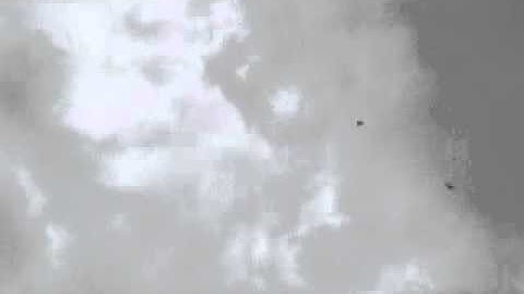 Swiftlet calling by highly effective sound